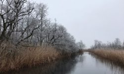 Boswachtergezocht - Omgeving Naaderermeer